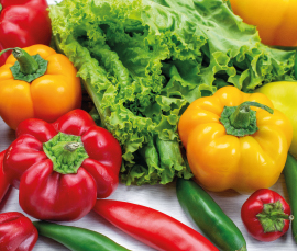 Fresh Food