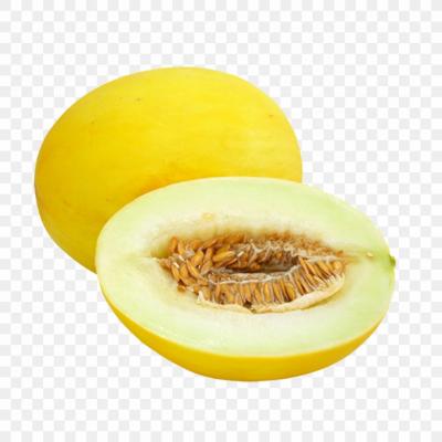 Galia Melon- Each