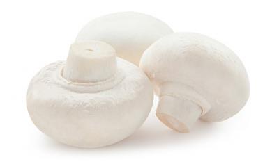 Mushrooms